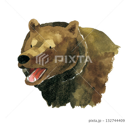 口を開けるヒグマ(熊) 手描き水彩イラスト素材 口を開けるヒグマ(熊) 手描き水彩イラスト素材 132744409