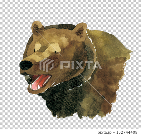 口を開けるヒグマ(熊) 手描き水彩イラスト素材 口を開けるヒグマ(熊) 手描き水彩イラスト素材 132744409