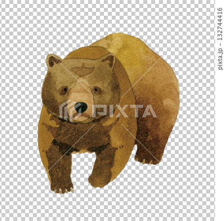 行走中的棕熊（熊）手繪水彩插圖 132744416