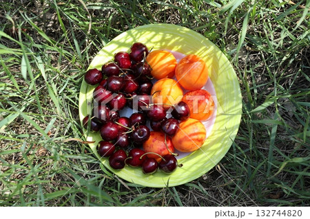 Sweet cherries and apricots on a plate. Sweet cherries and apricots on a plate. 132744820