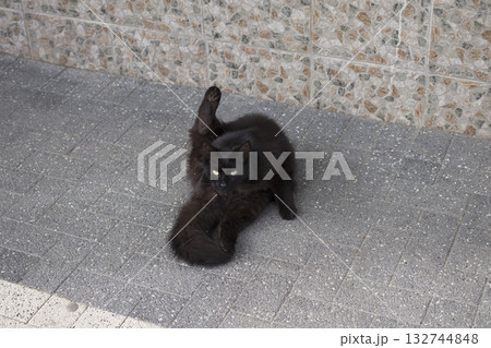 The black site does morning routines. 132744848