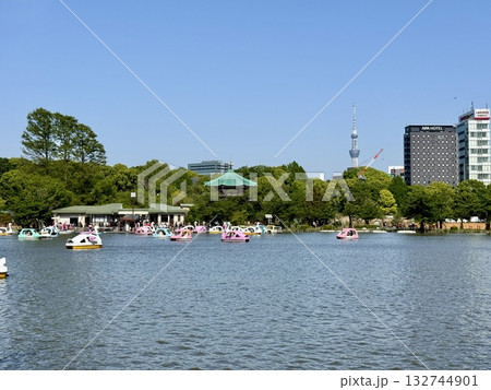 ゴールデンウィークの上野 不忍池 ゴールデンウィークの上野 不忍池 132744901