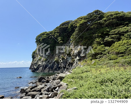 海岸沿いに咲く、断崖絶壁の海岸 福井県東尋坊雄島の景色 海岸沿いに咲く、断崖絶壁の海岸 福井県東尋坊雄島の景色 132744909
