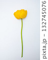 Big beautiful bouquet of yellow tulips on a white background 132745076