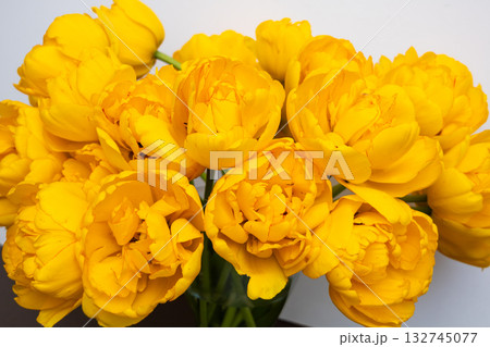 Big beautiful bouquet of yellow tulips on a white background Big beautiful bouquet of yellow tulips on a white background 132745077