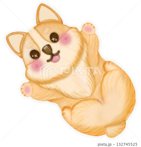 Sticker Kawaii playful Corgi and Shiba Inu dogs in various poses, Dog equipment Hand drawn colored illustration set. Sticker Kawaii playful Corgi and Shiba Inu dogs in various poses, Dog equipment Hand drawn colored illustration set. 132745525