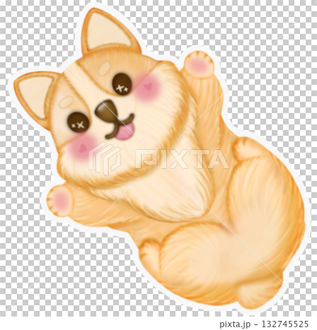Sticker Kawaii playful Corgi and Shiba Inu dogs in various poses, Dog equipment Hand drawn colored illustration set. Sticker Kawaii playful Corgi and Shiba Inu dogs in various poses, Dog equipment Hand drawn colored illustration set. 132745525