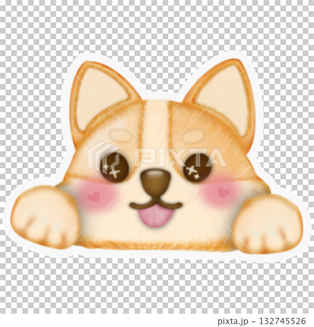 Sticker Kawaii playful Corgi and Shiba Inu dogs in various poses, Dog equipment Hand drawn colored illustration set. 132745526