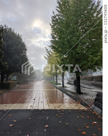 雨上がりの朝の日差しが差し込む道 雨上がりの朝の日差しが差し込む道 132745608