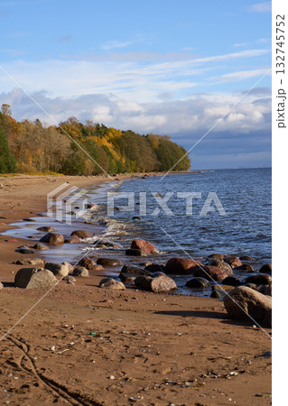 Sandy coastline with forest in autumn colors beside calm blue sea. 132745752