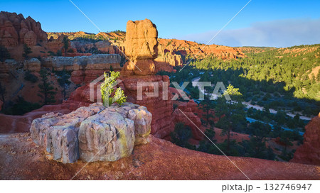 Aerial Red Canyon Hoodoo Rock Formations and Forest in Utah Morning Light 132746947