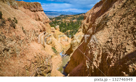 Aerial Bryce Canyon Red Rock Cliffs Pine Forest and Canyon Landscape Aerial Bryce Canyon Red Rock Cliffs Pine Forest and Canyon Landscape 132746949