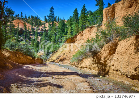 Mossy Cave Trail Creek and Red Canyon Walls with Pine Trees Under Blue Sky Mossy Cave Trail Creek and Red Canyon Walls with Pine Trees Under Blue Sky 132746977