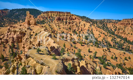 Aerial Red Canyon Hoodoos Golden Wall Trail and Pine Trees Utah Landscape Aerial Red Canyon Hoodoos Golden Wall Trail and Pine Trees Utah Landscape 132747014