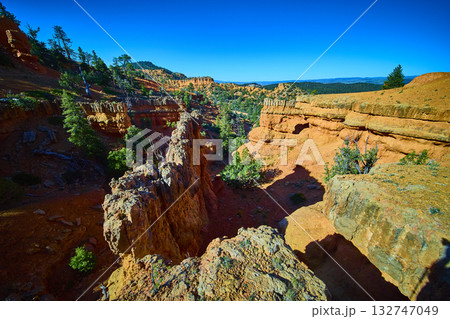 Red Canyon Sandstone Cliffs and Pine Trees in Utah Desert Landscape Red Canyon Sandstone Cliffs and Pine Trees in Utah Desert Landscape 132747049