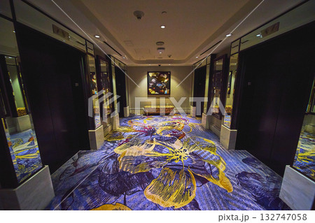 Modern Hotel Elevator Lobby With Vibrant Floral Carpet And Decorative Bench Modern Hotel Elevator Lobby With Vibrant Floral Carpet And Decorative Bench 132747058