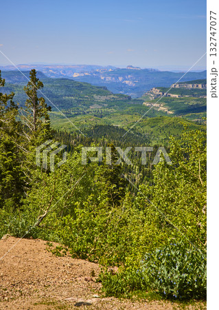 Scenic Forest Overlook with Canyon Cliffs and Lush Green Valleys 132747077