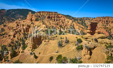 Aerial Red Canyon Hoodoos and Golden Wall Trail with Pine Trees Utah 132747125