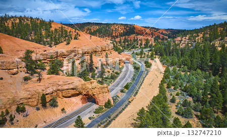 Aerial Red Canyon Tunnels Scenic Highway and Pine Forest Utah 132747210