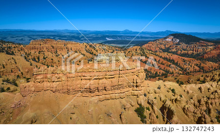 Aerial Red Canyon Rock Formations Pine Forest and Mountains Utah 132747243