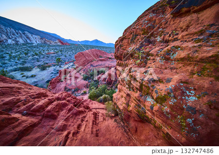 Red Sandstone Formations and Desert Landscape at Sunrise in Nevada 132747486