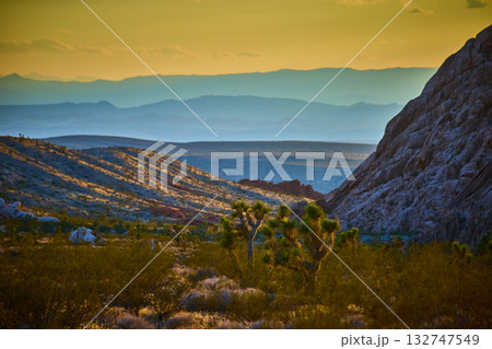 Joshua Tree Sunset in Rugged Desert Landscape with Rocky Hills and Distant Mountains 132747549
