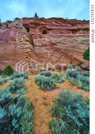 Red Sandstone Cliff and Cave with Desert Vegetation Kanab Utah Red Sandstone Cliff and Cave with Desert Vegetation Kanab Utah 132747615