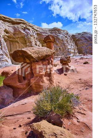 Toadstool Hoodoos and Sandstone Cliffs Kanab Utah Daytime Landscape 132747653