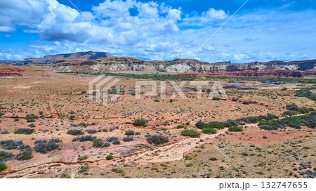Aerial Southwest Desert Mesa and Canyon Landscape Catstair Canyon Utah 132747655