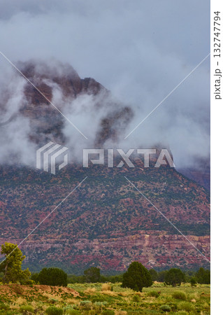 Misty Red Rock Mountain and Desert Shrubs Zion National Park Utah Misty Red Rock Mountain and Desert Shrubs Zion National Park Utah 132747794