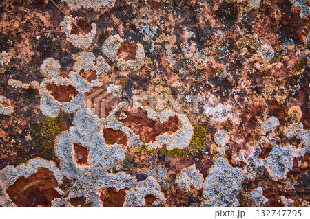 Lichen and Moss on Weathered Red Rock Texture Close Up Lichen and Moss on Weathered Red Rock Texture Close Up 132747795