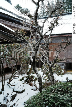 高野山金剛峯寺の冬 雪の中庭 高野山金剛峯寺の冬 雪の中庭 132747943