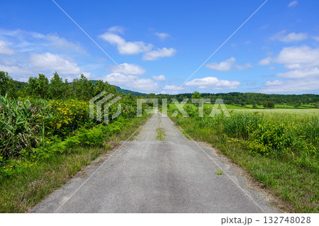 新十津川町の奥の方で 132748028