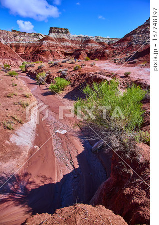 Desert Wash and Red Rock Formations with Mesas under Blue Sky Kanab Utah 132748197