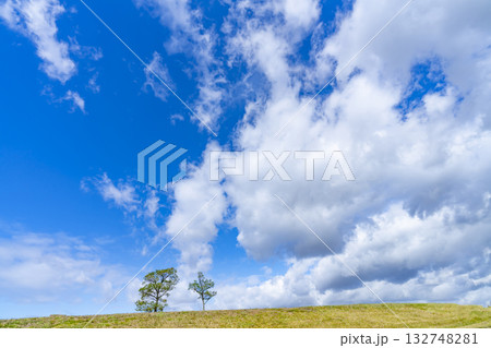 青空と雲と草原 青空と雲と草原 132748281