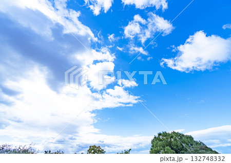 青空と雲と木立 132748332