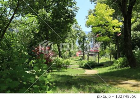 初夏の公園 132748356