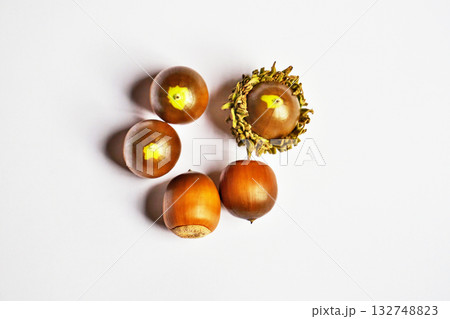 茶色いクヌギの実（秋、十月） 132748823