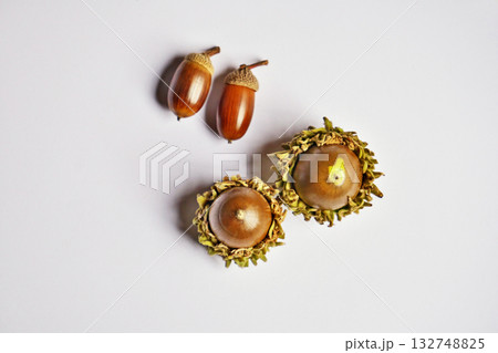 茶色いコナラとクヌギの実（秋、十月） 132748825