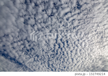 天空に広がるひつじ雲と言われる高積雲の造形 天空に広がるひつじ雲と言われる高積雲の造形 132749214