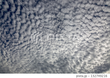 天空に広がるひつじ雲と言われる高積雲の造形 132749216
