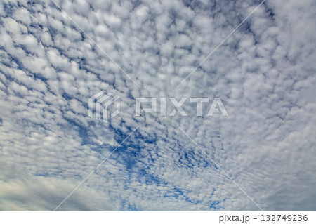 天空に広がるひつじ雲と言われる高積雲の造形 132749236