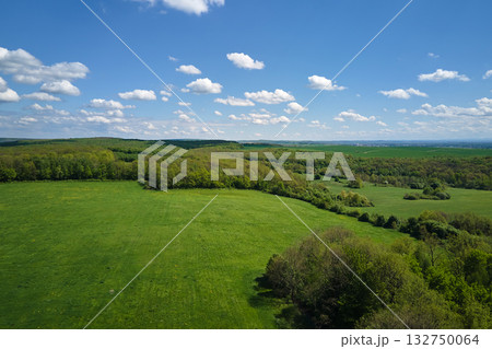 Aerial landscape of green farmland in summer season with growing crops. Agricultural cultivated field. Farming and agriculture industry Aerial landscape of green farmland in summer season with growing crops. Agricultural cultivated field. Farming and agriculture industry 132750064