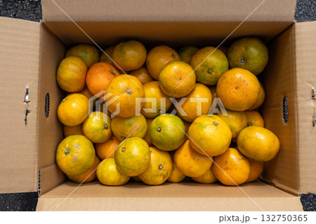 日本の産地直送箱入りみかん 日本の産地直送箱入りみかん 132750365