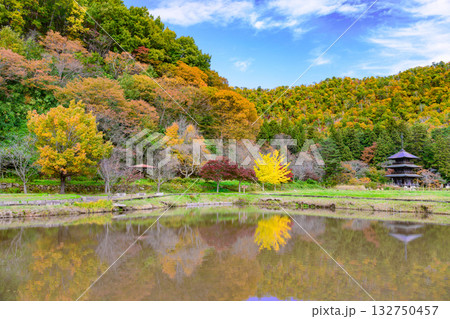 いにしえの里歴史公園　見事な紅葉 132750457