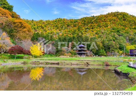 いにしえの里歴史公園 見事な紅葉 いにしえの里歴史公園 見事な紅葉 132750459