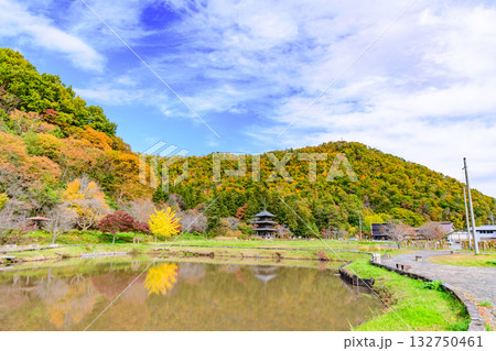 いにしえの里歴史公園 見事な紅葉 いにしえの里歴史公園 見事な紅葉 132750461