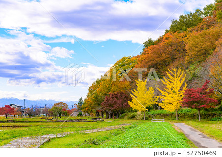 いにしえの里歴史公園 見事な紅葉 いにしえの里歴史公園 見事な紅葉 132750469