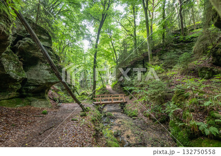 Beautiful green forest Hiking path with Sandstone chalk rock formations in Berdorf Mullerthal Luxembourg Beautiful green forest Hiking path with Sandstone chalk rock formations in Berdorf Mullerthal Luxembourg 132750558