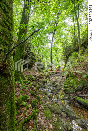 Beautiful green forest Hiking path with Sandstone chalk rock formations in Berdorf Mullerthal Luxembourg Beautiful green forest Hiking path with Sandstone chalk rock formations in Berdorf Mullerthal Luxembourg 132750561